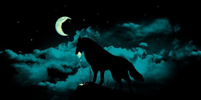 1024x768 Lone Black Wolf Wallpapers - Top Free Lone Black Wolf Backgrounds -  WallpaperAccess