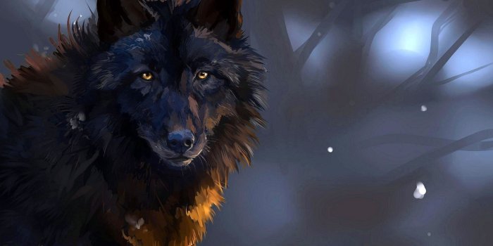 2946x1963 Dark Wolf Wallpapers HD - Wolf-Wallpapers.pro