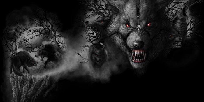 2560x1600 Dark Wolf Wallpapers Desktop Background