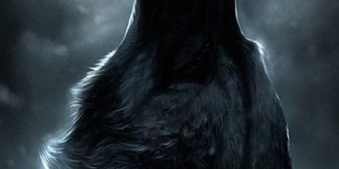 1080x1920 1080x1920, Download Previewhowling Wolf Wallpaper - Dark Wolf Howling At  The Moon - 1080x1920 Wallpaper - teahub.io