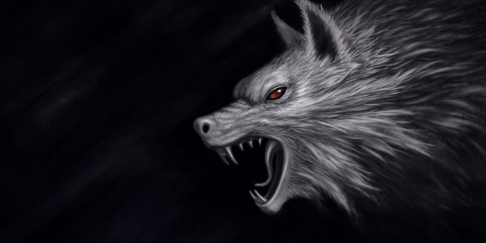 2186x1229 Wolf Hd Wallpaper Beautiful Dark Wolf Wallpapers Wallpaper Cave Of the Day  - Left of The Hudson