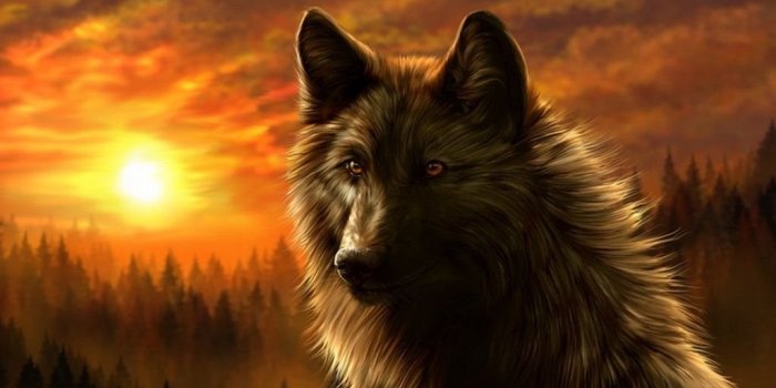 1024x768 Dark Wolf Wallpapers Best HD Wallpapers Desktop Background