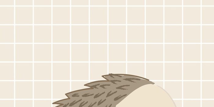 800x1422 Free Vectors, PNGs, Mockups & Backgrounds - rawpixel