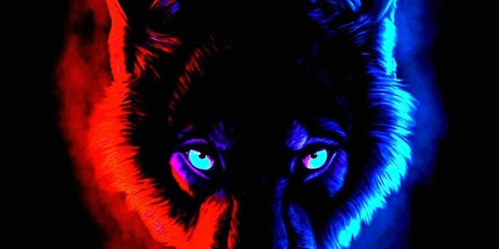 1420x1262 Blue And Red Wolf Wallpapers - Wolf-wallpapers.pro | Red wolf, Wolf with  blue eyes, Wolf colors