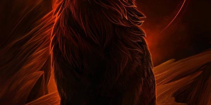 720x1280 Download Dark Wolf Wallpaper HD by Playbird | Wallpaper-HD.Com