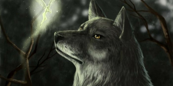 1366x768 Dark Wolf Backgrounds