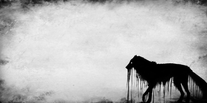 1920x1080 Dark Wolf Wallpapers Wallpapers - Top Free Dark Wolf Wallpapers Backgrounds  - Hdwallpaper.wiki