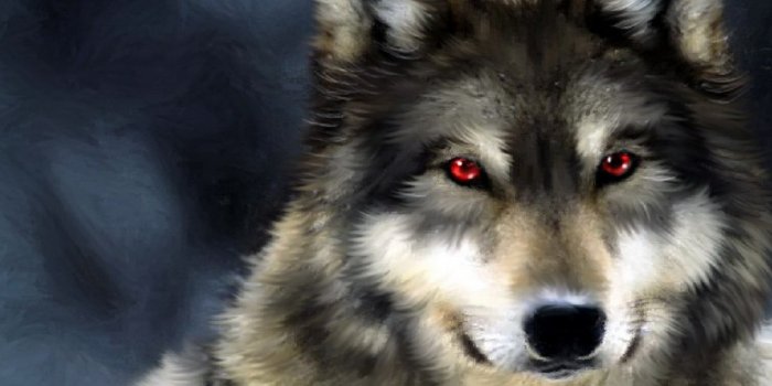 1280x1024 Best 60+ Wolf Wallpaper on HipWallpaper | Beautiful Wolf Wallpapers,  Awesome Wolf Wallpapers and Pretty Wolf Wallpaper