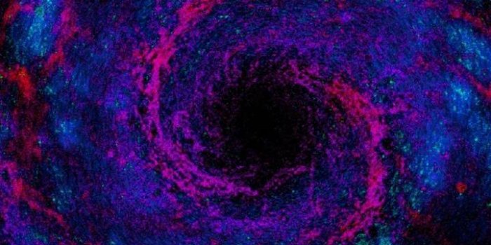 720x1280 Download Galaxy s8 Wallpaper HD by misia_bela | Wallpaper-HD.Com