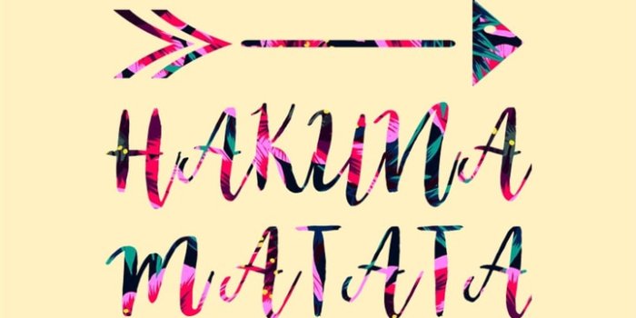 720x1280 Hakuna Matata wallpaper Credit to the Artist on We Heart It