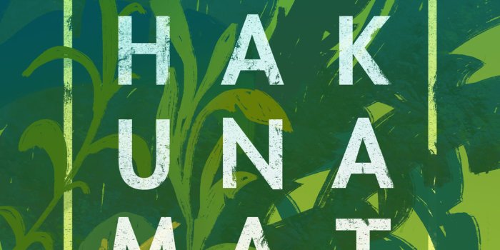 1079x1920 Hakuna Matata | iPhone Wallpapers