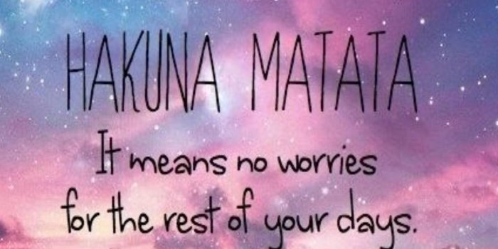 1431x1280 Hakuna Matata Wallpapers - Top Free Hakuna Matata Backgrounds -  WallpaperAccess