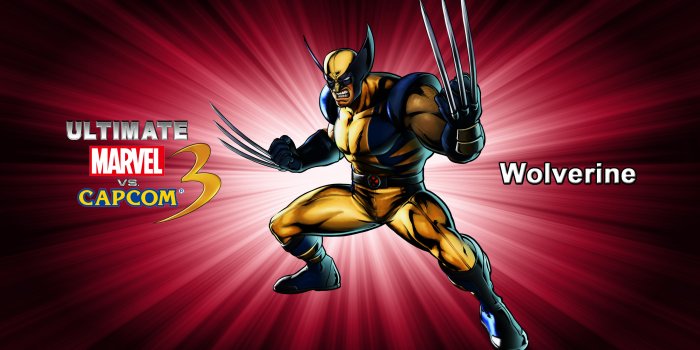 2560x1600 Wolverine - Ultimate Marvel vs. Capcom 3 wallpaper - Game wallpapers -  #12420