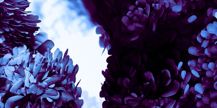 1242x2688 Samsung Galaxy S20 wallpaper iPhone mods