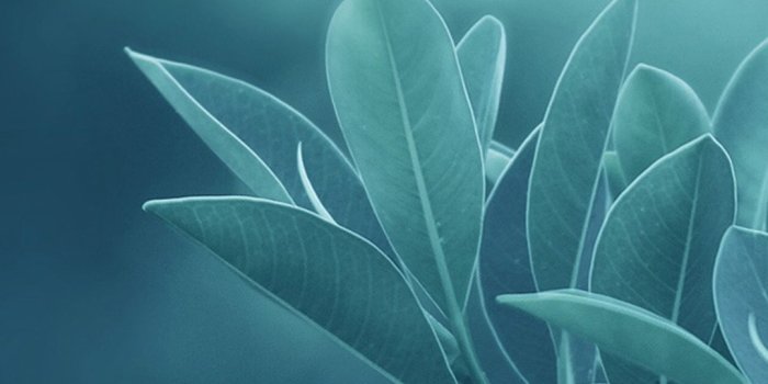 1080x1920 Wallpaper's Collection: «Samsung Wallpapers»