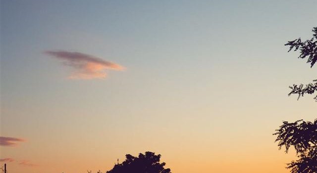 640x1385 Best Rich iPhone 11 HD Wallpapers - iLikeWallpaper