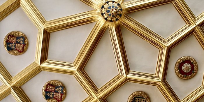 1000x1500 Dan Gold Pictures | Download Free Images on Unsplash