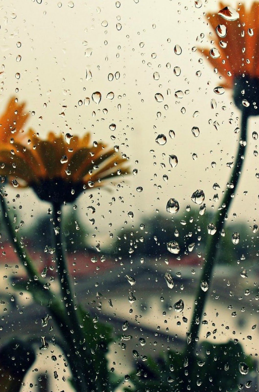 1060x1604 Sign in | Rainy wallpaper, Rain wallpapers, Rain photography