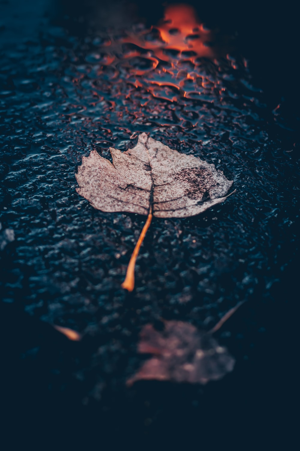 1000x1500 350+ Rain Wallpapers [HD] | Download Free Images & Stock Photos On Unsplash