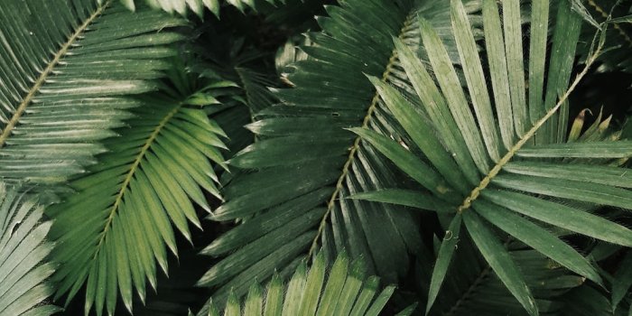 1000x1778 Mobile Wallpapers | 55 best free wallpaper, grey, outdoor and cloud photos  on Unsplash