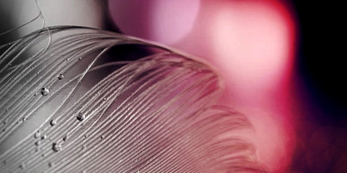 1080x1920 Mobile Wallpapers - Top Free Mobile Backgrounds - WallpaperAccess