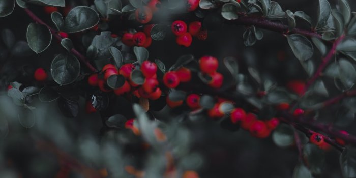 1000x1500 550+ Wallpaper For Mobile Pictures | Download Free Images on Unsplash