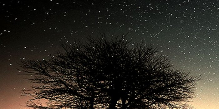 1080x1920 98 Mobile Wallpapers ideas | mobile wallpaper, wallpaper, phone wallpaper