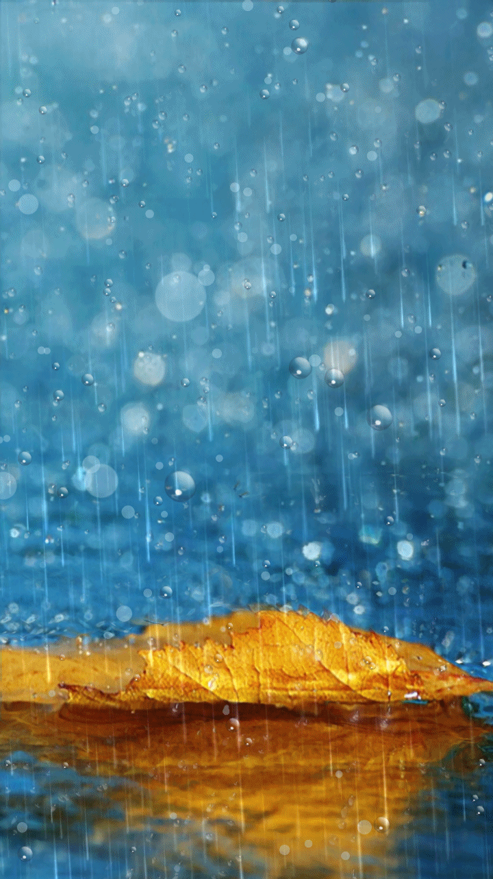 720x1282 rain drops wallpapers rainy days | morning dew | water droplets | pouring  rain gif | rain gif | Rain background wallpapers, Rain background, Live  wallpapers