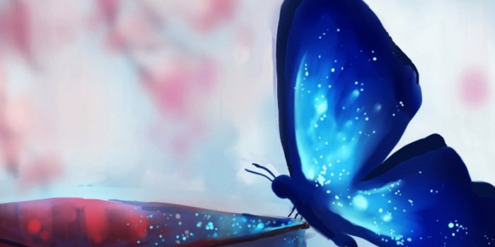 768x1024 Free download Nice Wallpaper Hd For Mobile Mobile Wallpaper Butterfly Hd  [1000x1600] for your Desktop, Mobile & Tablet | Explore 45+ Mobile  Wallpapers HD | Free Wallpapers for Cell Phones, Best Wallpapers