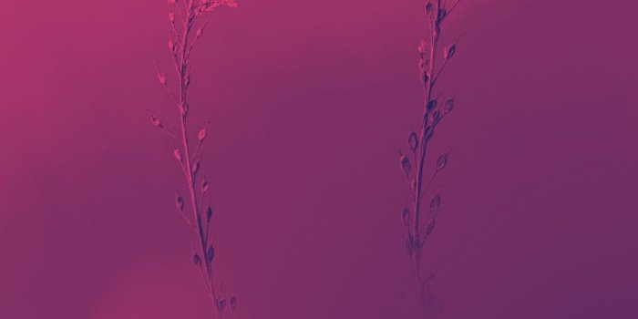 1080x1920 Hope mobile wallpaper | VIVE CON STYLE