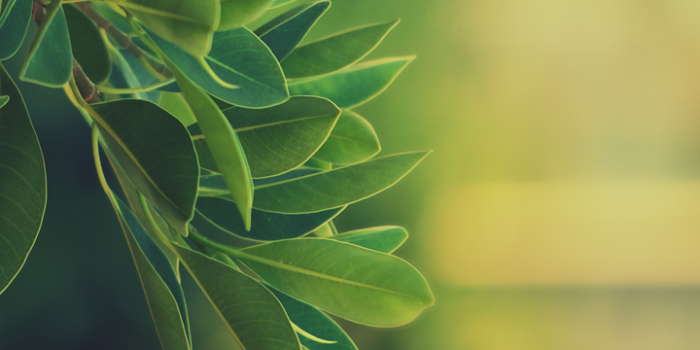 720x1280 Wallpapers, Phone wallpapers | Hd nature wallpapers, Nature wallpaper,  Beautiful nature wallpaper