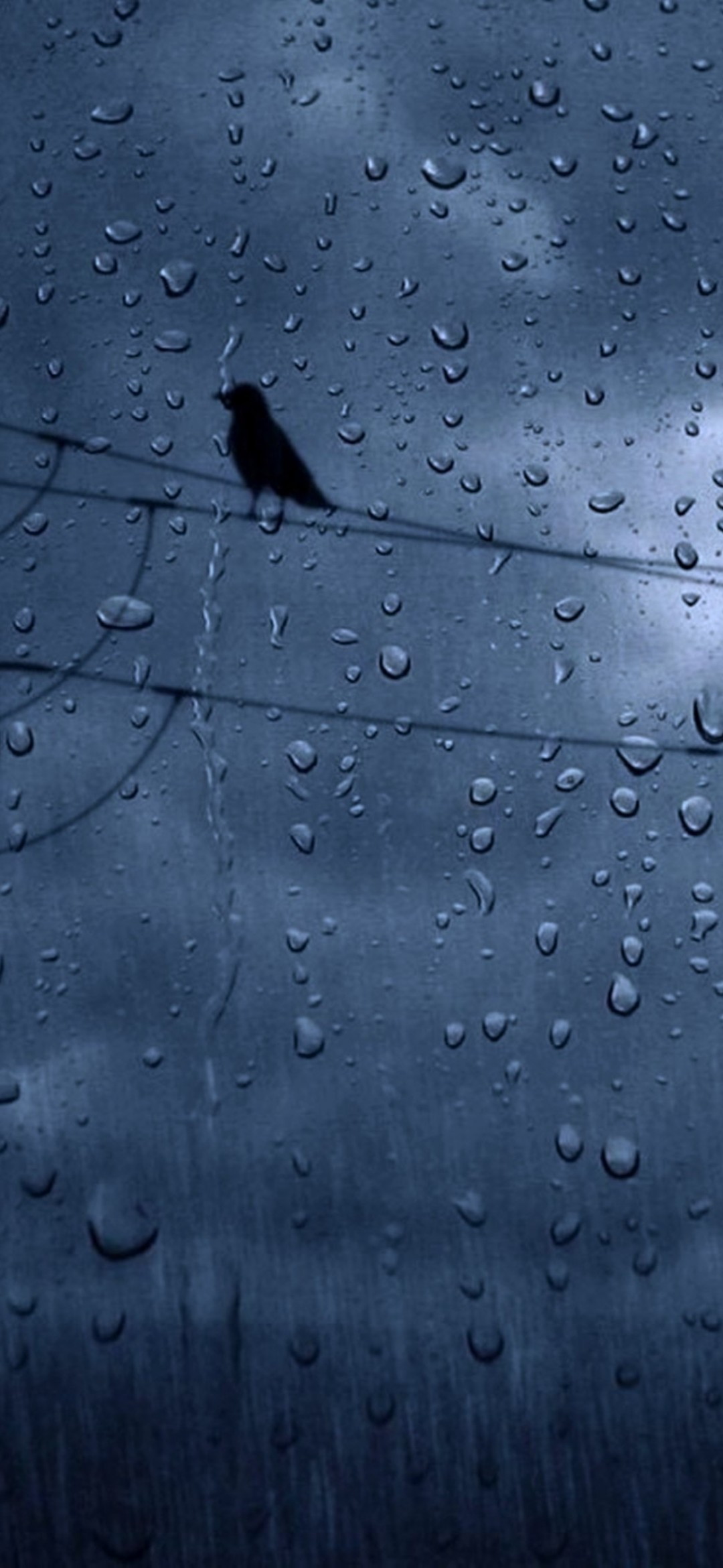 1080x2340 Download 1080x2340 Rain, Crows, Weather Wallpapers for Xiaomi Mi 10 & Mi 9  & Mi Mix 3 & Black Shark 2, Huawei P30 Pro, Vivo V15 Pro, OnePlus 6T,  Huawei Y9 2019 - WallpaperMaiden