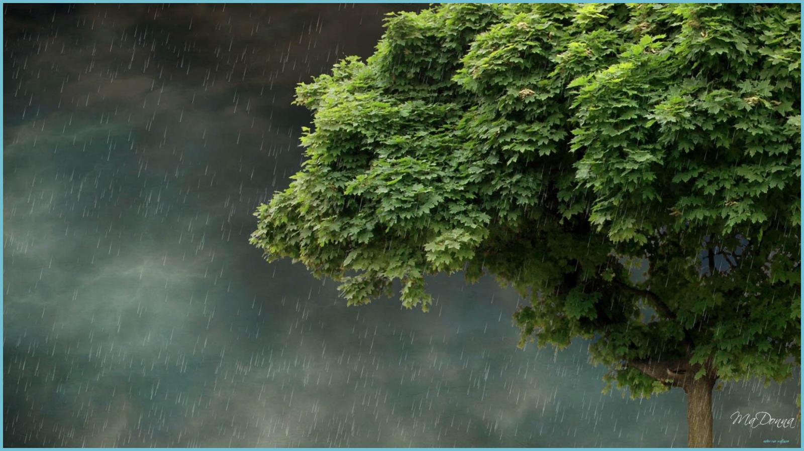 1862x1047 Spring Rain Wallpapers Background Rain Wallpapers, Rainy - Nature Rain  Wallpaper | Neat
