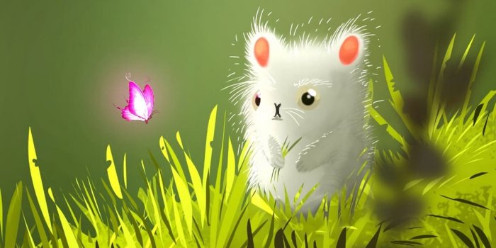 1080x1920 Cute Phone Wallpapers - Mobile Wallpaper