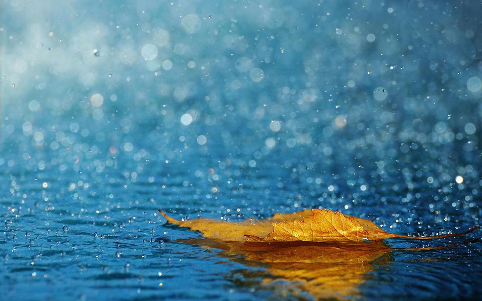 1920x1200 Rainfall Wallpapers - Top Free Rainfall Backgrounds - WallpaperAccess