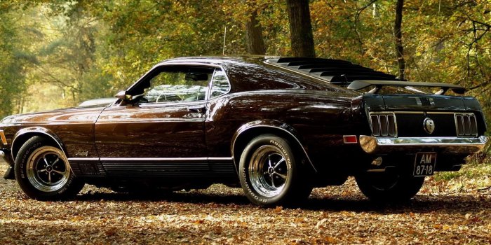 1920x1080 Ford Mustang Wallpapers And Images Wallpapers, Pictures, Photos Desktop  Background