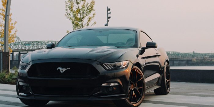 2560x1707 Collection : Top 31 mustang car wallpaper in hd (HD Download)