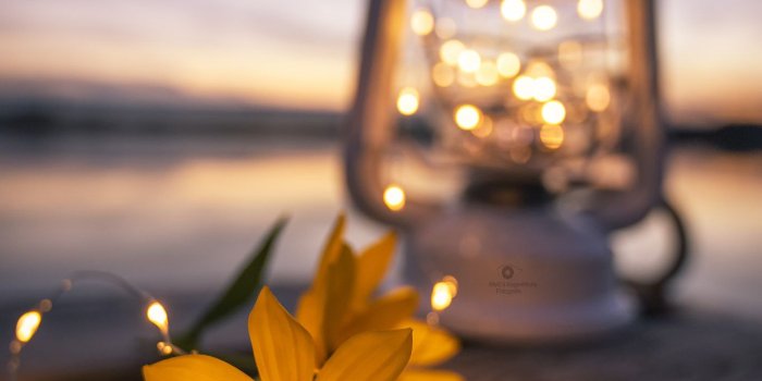 1365x2048 Summer feeling - | Beautiful flowers wallpapers, Beautiful wallpapers,  Wallpaper nature flowers