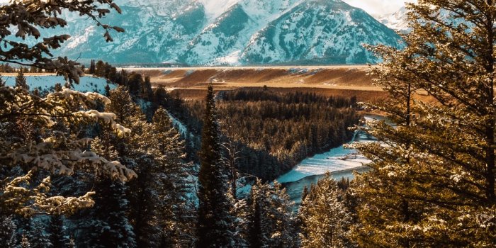 1000x1498 Beautiful Wallpapers: Free HD Download [500+ HQ] | Unsplash