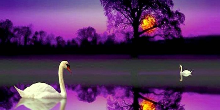 1440x1280 Desktop Beautiful Wallpaper - EnWallpaper