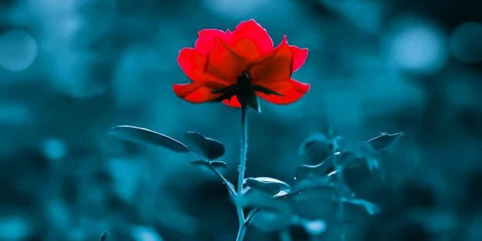 1080x1350 140 Beautiful wallpapers ideas | beautiful wallpapers, beautiful, wallpaper