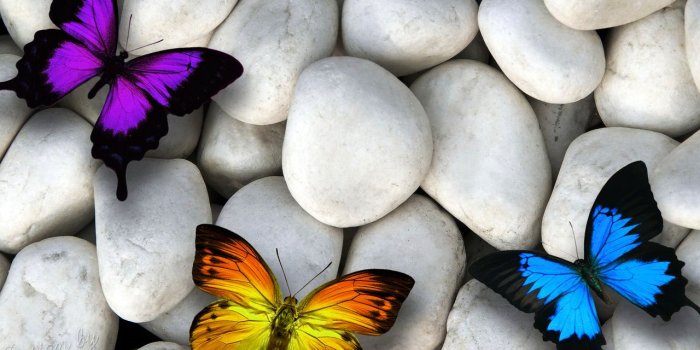 1280x960 Free download Beautiful Nature 3D HD Images and Photos Wallpapers for  [1280x960] for your Desktop, Mobile & Tablet | Explore 30+ Beautiful  Wallpapers Pic | Beautiful Wallpapers Pic, Pic Of Beautiful Wallpaper,