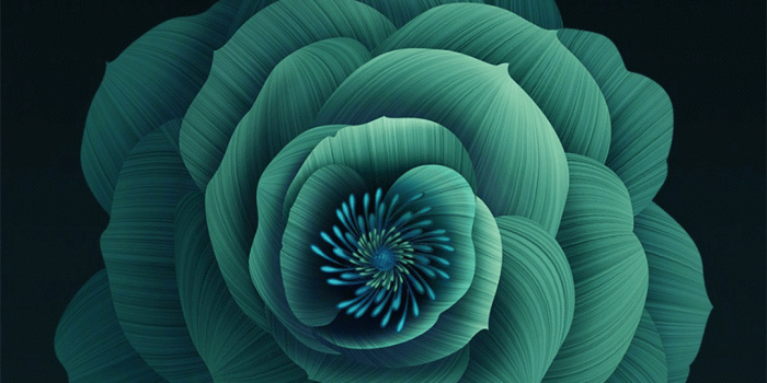 1080x2160 Download Xiaomi Mi 6X Wallpapers