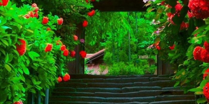 768x1024 Beautiful Wallpapers For Phone Screen 35 Pictures - Beautiful Jumma Mubarak  Sms - 768x1024 - Download HD Wallpaper - WallpaperTip