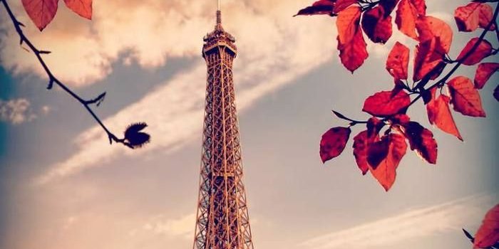 700x1400 Arranged for iPhone X, Beautiful Wallpapers, Background (part 3) | FunMary  | Beautiful wallpapers backgrounds, Beautiful wallpapers, Beautiful nature  wallpaper