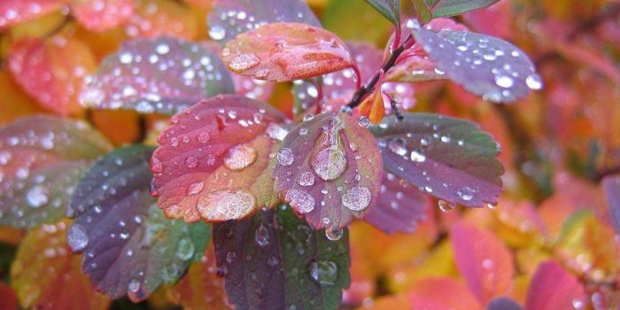 1024x768 Images Of Beautiful Wallpapers