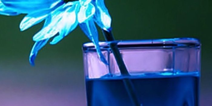 720x1280 Gallery For Beautiful Wallpapers For Mobile Phones Free Download Desktop  Background