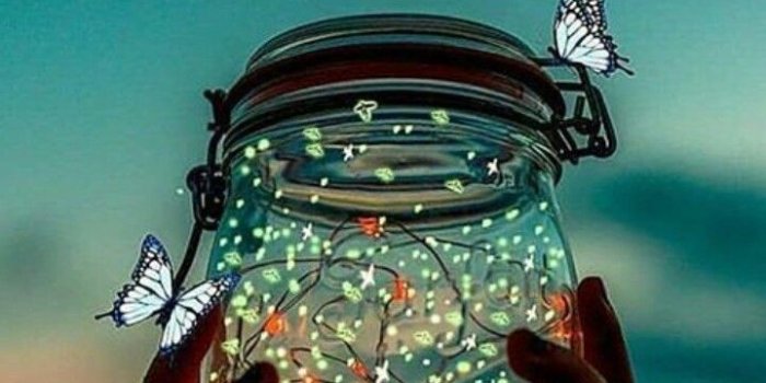 720x1280 11:11 on Twitter | Beautiful wallpapers backgrounds, Nature wallpaper,  Beautiful nature wallpaper