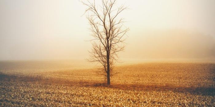 1000x1499 Portrait Wallpapers - Top Free Portrait Backgrounds - WallpaperAccess