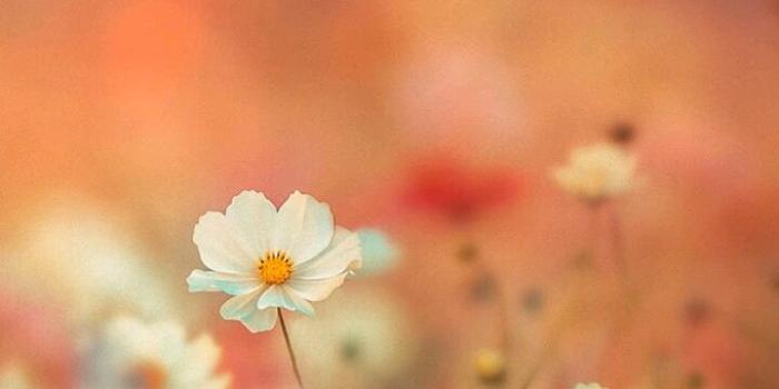 720x1280 Portraits - HD 4K Wallpapers for Android - APK Download